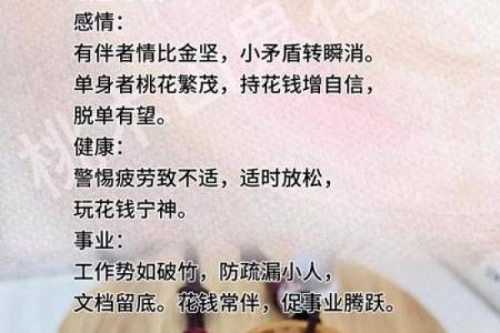 1988年属龙的命运解析：与众不同的龙年人生