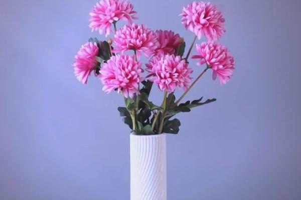 石榴木命的人适合种什么花，助你运势亨通！