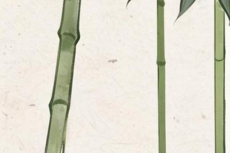 适合大林木命的植物推荐与选择指南