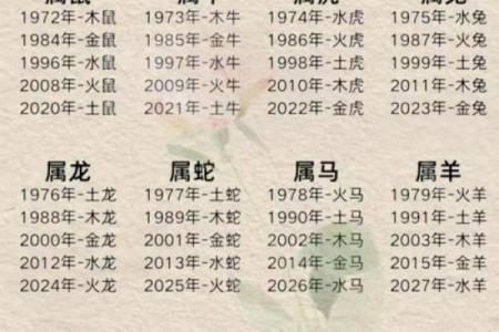 属鼠之命：金木水火土五行解析与生活智慧