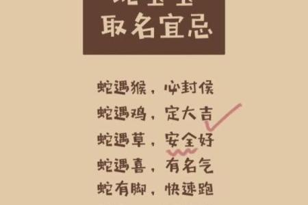 属蛇金命者的手机号选择指南，助你运势如虹！