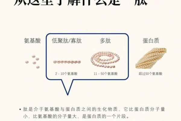 揭开155生命肽的神秘面纱：科学与健康的完美结合