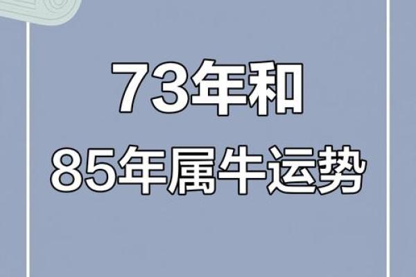 属牛腊月初九出生的人：命运特征与生活智慧探讨