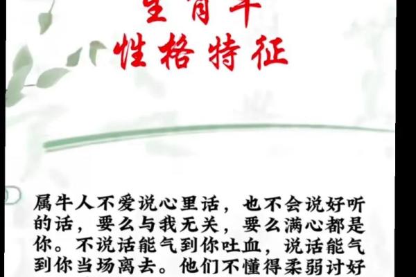 属牛木命缺火的人喜欢什么？探寻五行中的美好生活