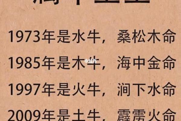 桑松木命适合的生意：让你的财富增值之路更光明！