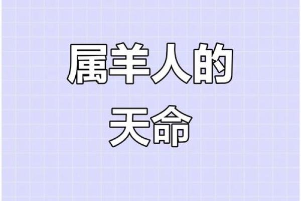 属羊人55岁后的命运解析与人生智慧