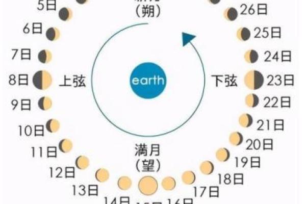 揭开农历二月十三生日命运之谜，探索命理与个性之间的关联