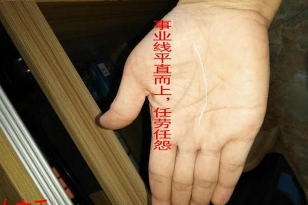 三角形手纹的人生轨迹：命运与性格的深层解读