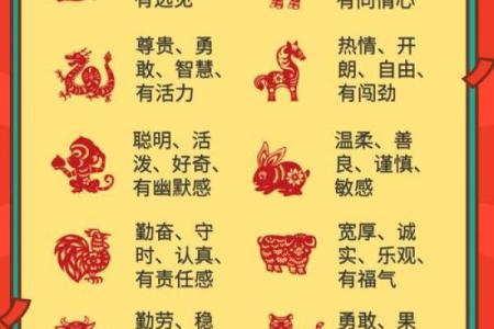 属牛水命女性的独特魅力与性格分析