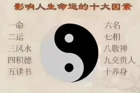 揭秘农历五月九十命的人生轨迹与性格特点