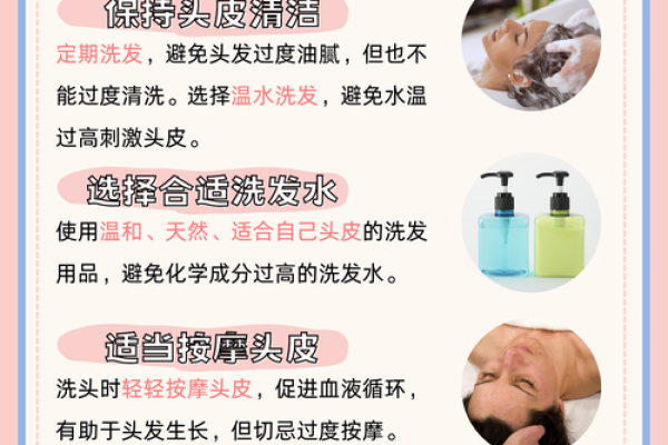 额头秃发与命运：揭开女性额头秃的秘密与愿景