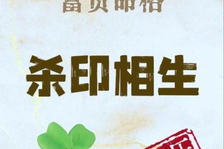 桑松木命与哪些命最为契合，带你揭开命理的神秘面纱