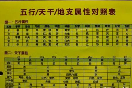 三元命解析：解锁你命运的三大元素