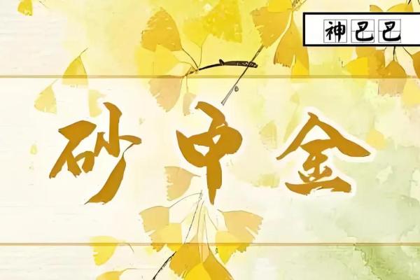 沙中金命：如何选择最适合的饰物？