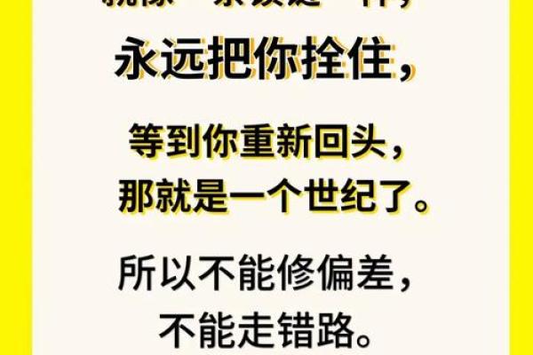 人生百态皆是命，命运的无常与坚持的意义