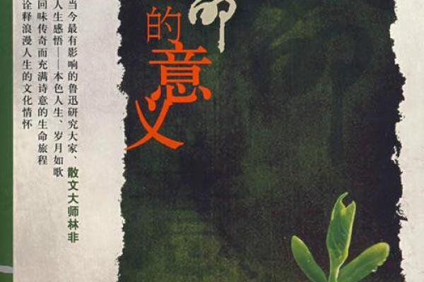 公益的力量与生命的双重意义：为何它有两条命？