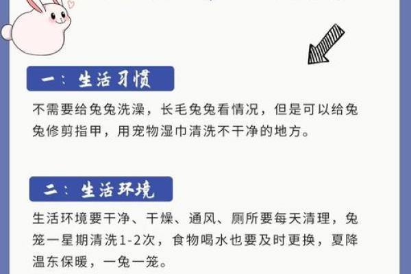 属兔人在五月出生的命理解析与人生指南