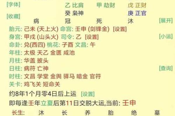 解密命理之道：探索壬申、戊申、已卯与乙丑的命运奥秘