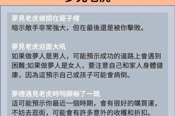 1986年属虎女性命运解析：激情与机遇交织的生活旅程