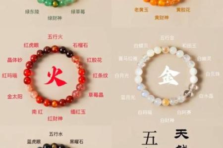 木命与其他五行命理配对探秘：寻找最佳伴侣的秘密