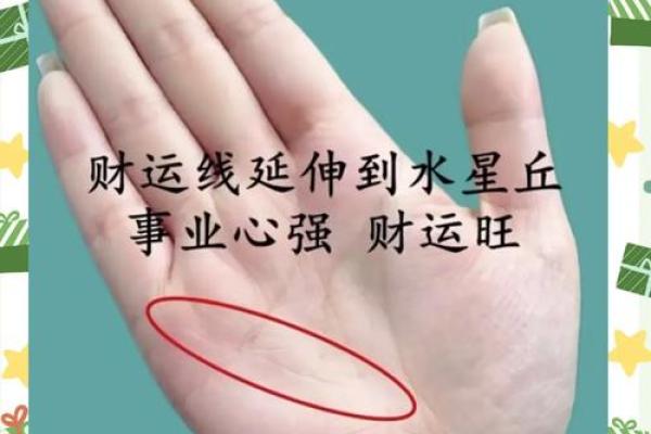 揭秘手相掌心发黄的神秘寓意，揭示命运的奥秘与生活的启示