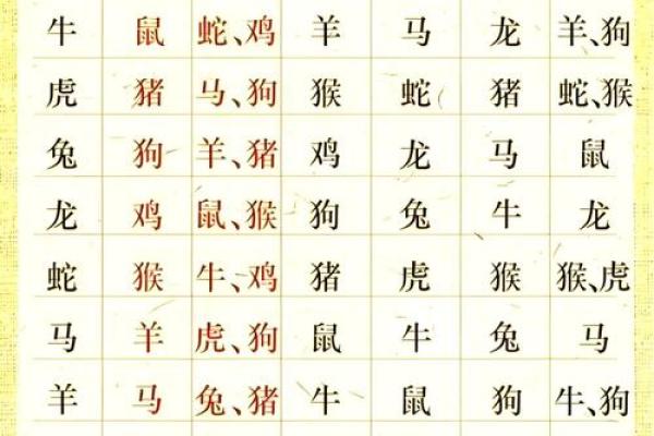 金命生肖解析：揭秘五行与命运的关系