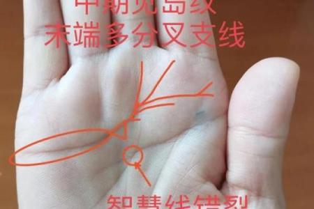 揭秘手相掌心发黄的神秘寓意，揭示命运的奥秘与生活的启示