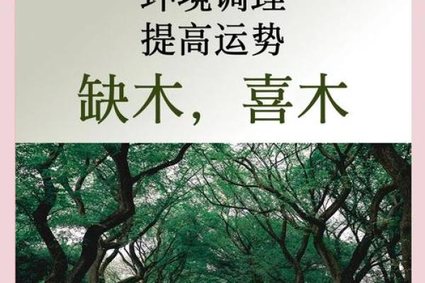 揭秘桑柘木命的命理奥秘与人生运势提升方法