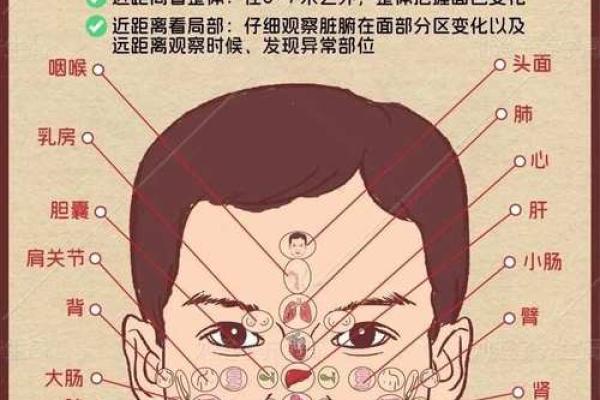 如何通过面相了解富贵命：看那些致富的面相特征