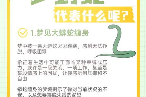 属蛇冬天出生的人命运揭秘：神秘与智慧并存的个性特征