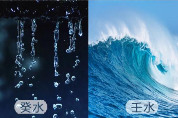 癸水正官的女命：命理揭示幸福与事业的双重钥匙