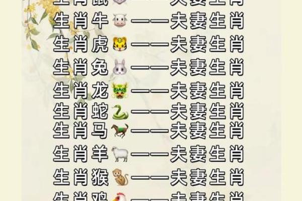 揭秘属相与命运：哪些生肖女孩命运更佳？