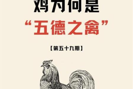 揭秘生肖鸡的富贵命：从各个角度探索其背后的神秘力量
