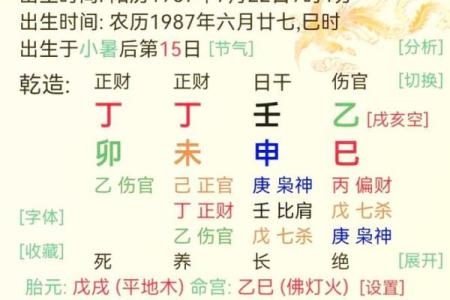 壬寅乙巳癸未命格揭秘：深度剖析你的命运特点与人生轨迹