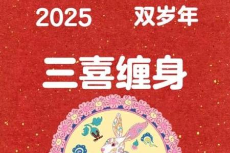 七五年兔年命运探秘：揭秘属兔人的人生轨迹与性格特征
