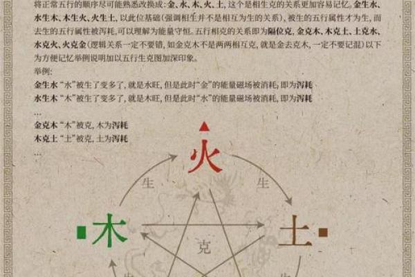 男卯时出生的人五行解析：命理与性格的深度剖析