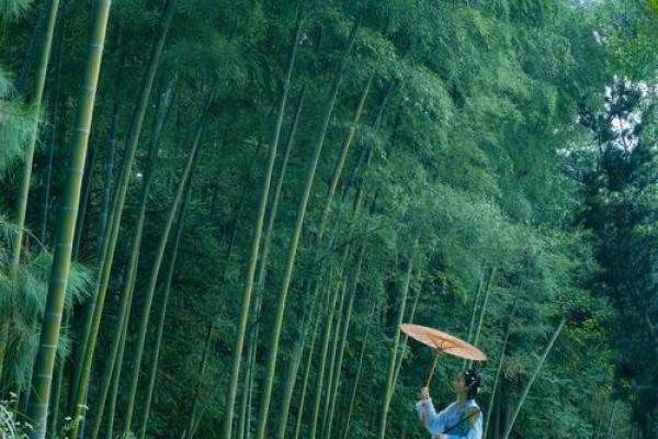 寒命人和平命的命理解析：生活中的千万风景