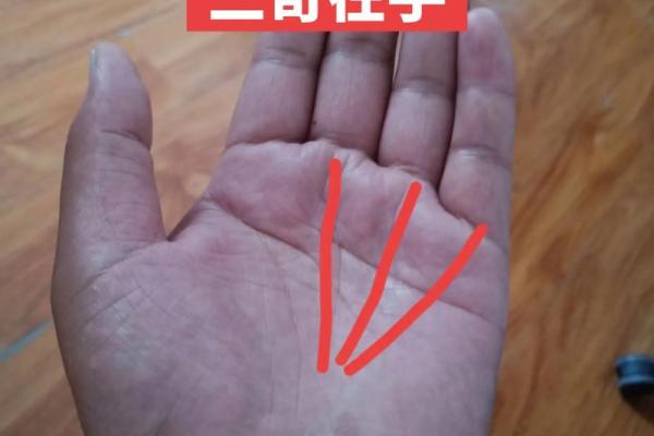 三奇命：揭示那些与众不同的命运秘密