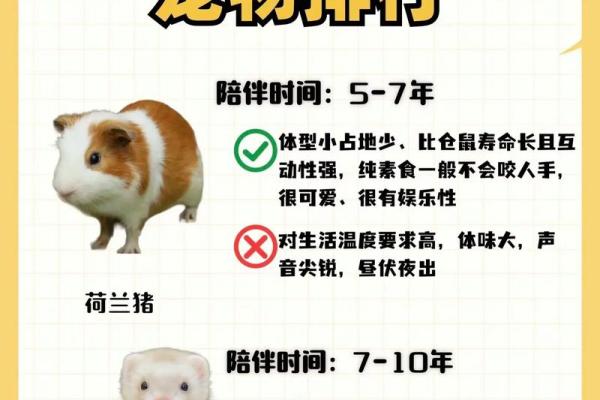 木命人适合养什么宠物？揭示个性与宠物的最佳匹配！