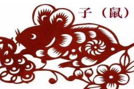 属鼠男的帅哥命：如何在生活中展现魅力与自信