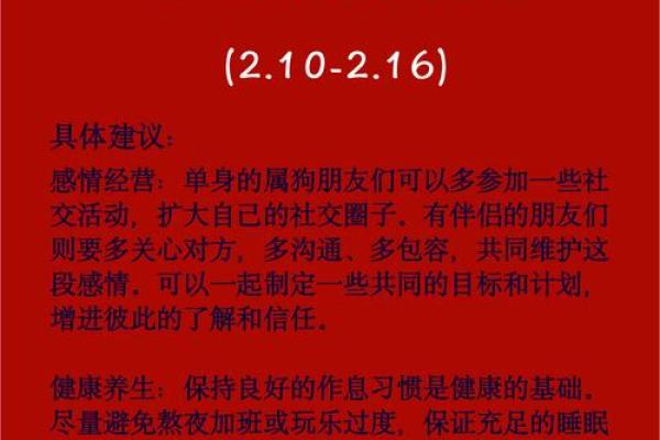 如何免费查属相和命运，助你开启人生新篇章！