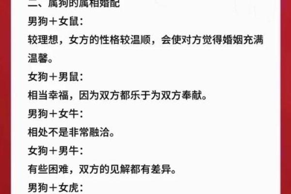 1994年属狗人：命运与性格解析，解锁人生的成功密码