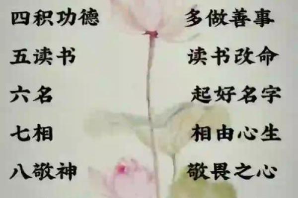 根据命理看人生，揭示命运背后的奥秘与智慧