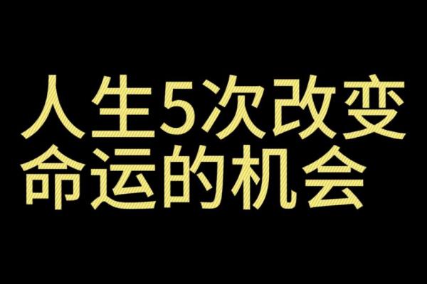 1976年出生的人，他们的命运与机遇——探寻不同人生道路的魅力