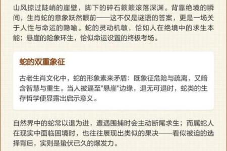 属蛇人命运解析：智慧与灵动相伴的一生