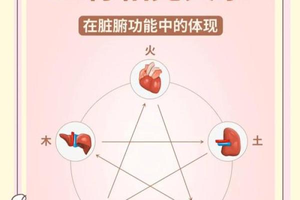 沙中金命：揭秘其与其他命相克的奥秘与影响