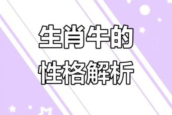 属牛人的命运解析：坚韧与勤奋的象征