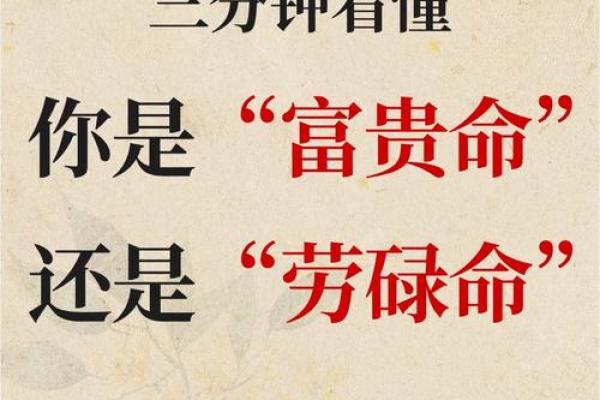 人富贵命：命理中的财富与尊贵探秘