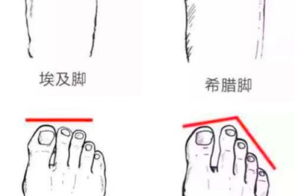 女人手尖脚尖的命运象征：解读五指与足趾的奥秘