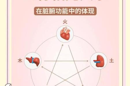 沙中金命：揭秘其与其他命相克的奥秘与影响